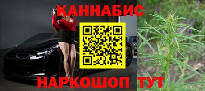 крисы Ливны