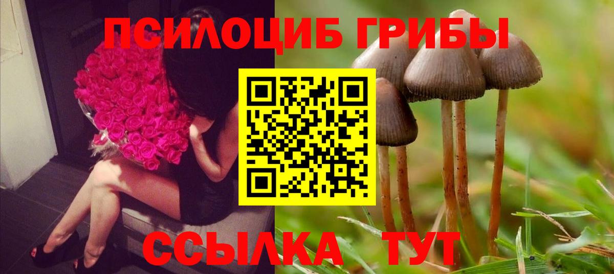 Дедовск  Псилоцибиновые грибы Psilocybine cubensis  Псилоцибиновые грибы ЛСД  Вход с VPN 